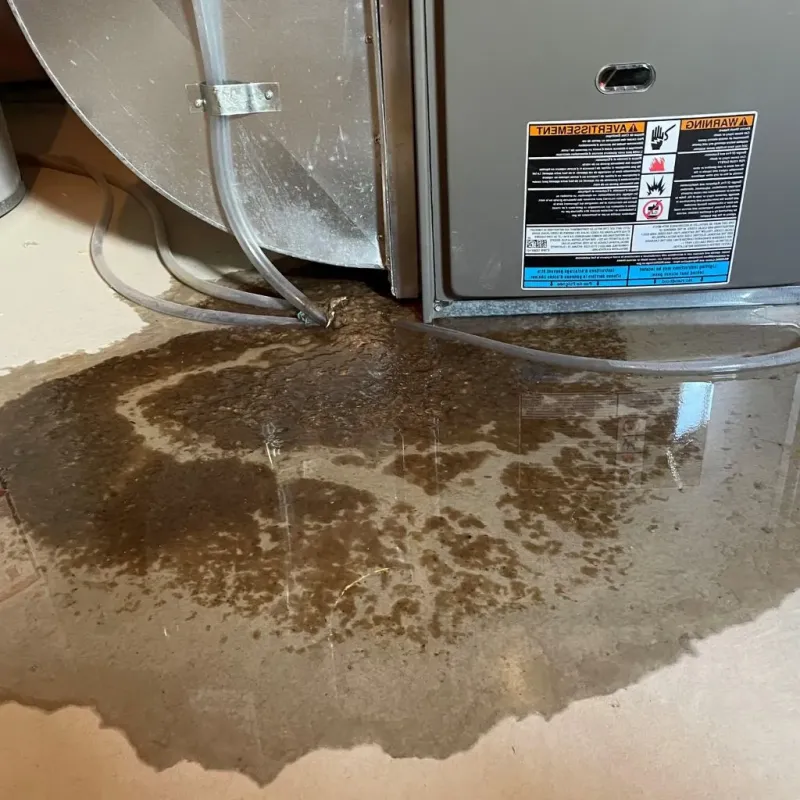 Pipe Burst and Leak Restoration in Cynthiana, KY